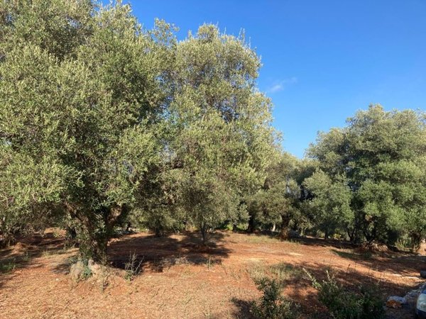 appartamento in vendita ad Ostuni