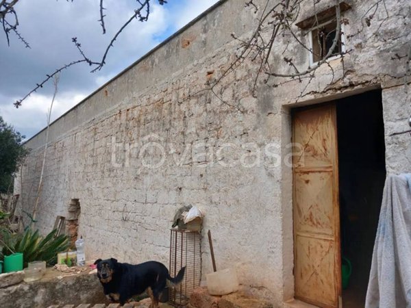 casa indipendente in vendita ad Ostuni