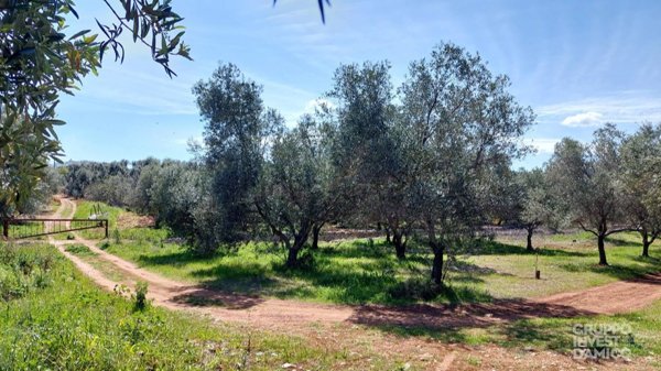 appartamento in vendita ad Ostuni