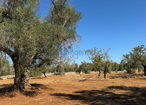 negozio in vendita ad Ostuni