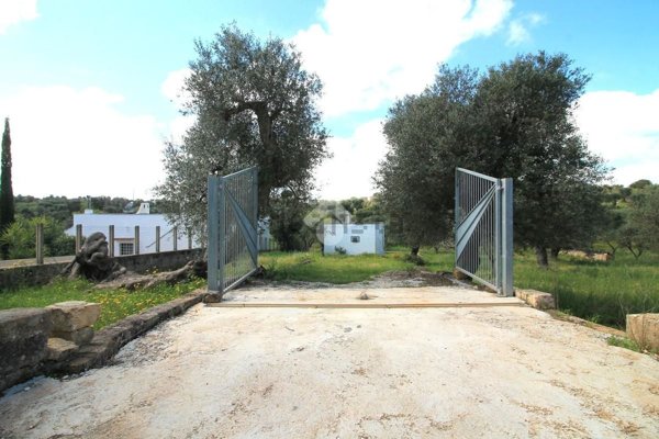 appartamento in vendita ad Ostuni
