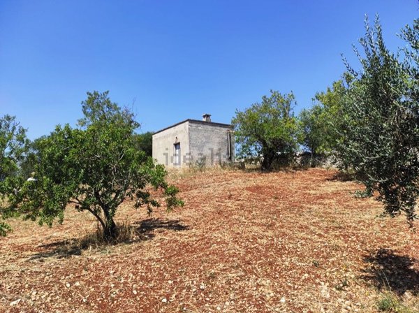 appartamento in vendita ad Ostuni