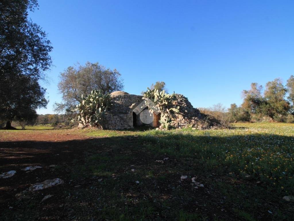 casa indipendente in vendita ad Ostuni