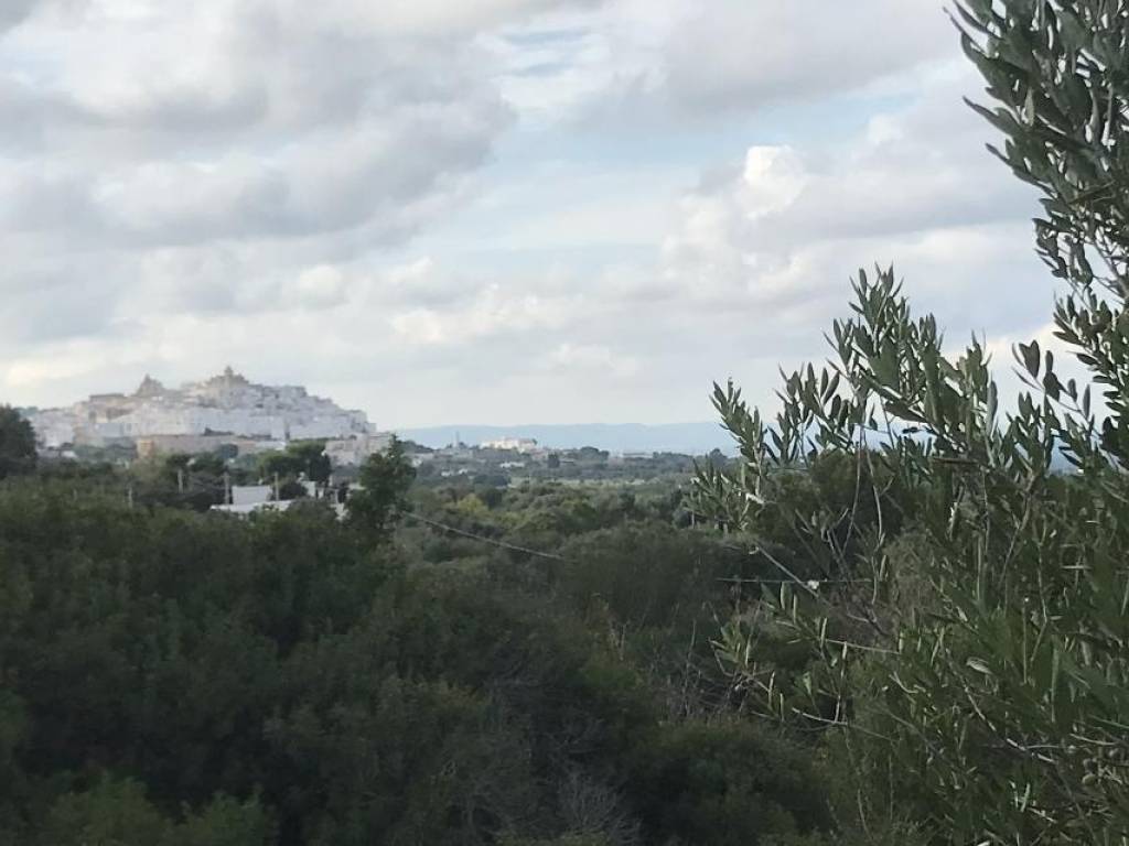 terreno agricolo in vendita ad Ostuni