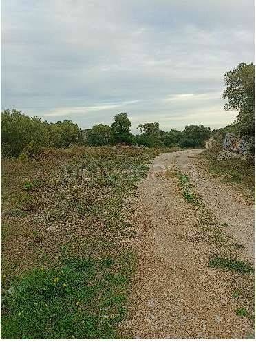 appartamento in vendita ad Ostuni