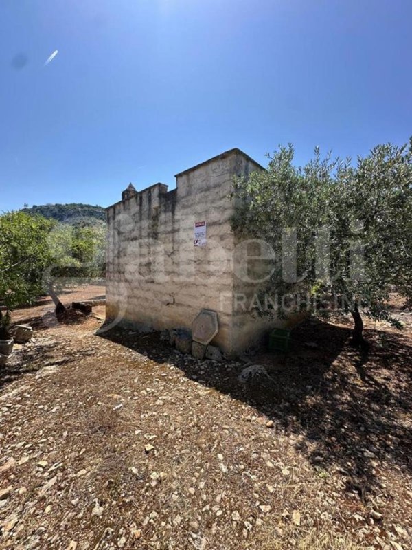 terreno agricolo in vendita ad Ostuni