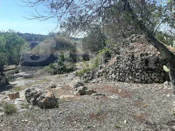 terreno agricolo in vendita ad Ostuni