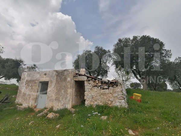 terreno agricolo in vendita ad Ostuni