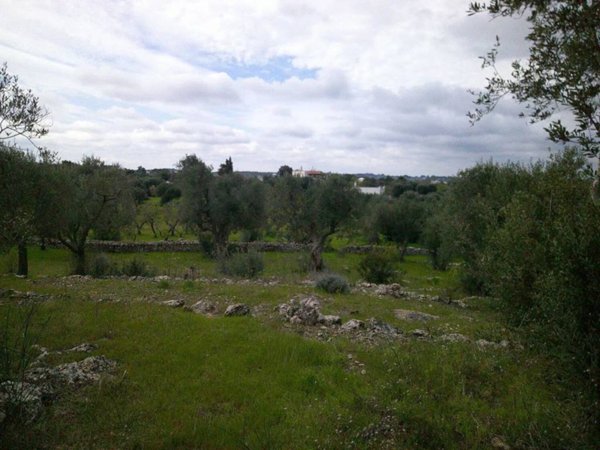 casa indipendente in vendita ad Ostuni