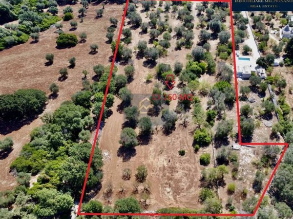 terreno agricolo in vendita ad Ostuni