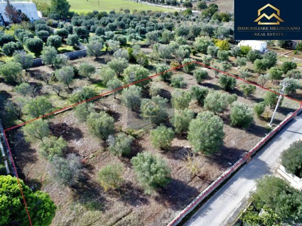 terreno agricolo in vendita ad Ostuni
