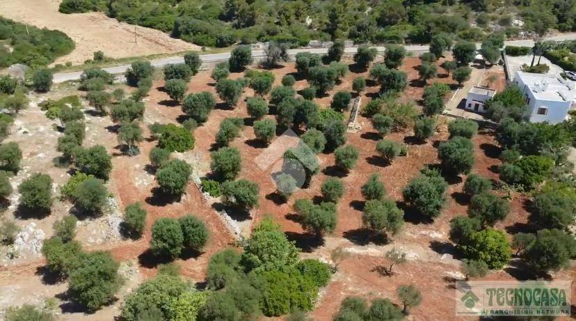 terreno agricolo in vendita ad Ostuni