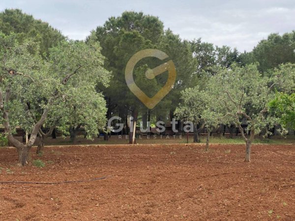 terreno agricolo in vendita ad Ostuni