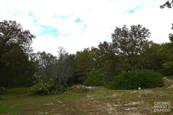 terreno agricolo in vendita ad Ostuni