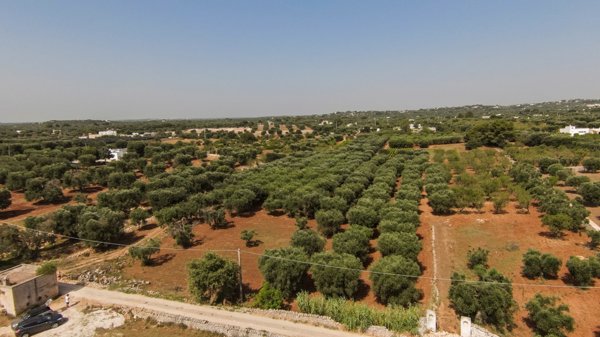 casa indipendente in vendita ad Ostuni