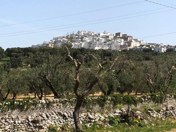 casa indipendente in vendita ad Ostuni