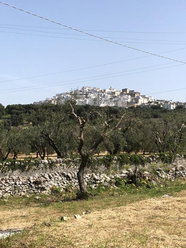 casa indipendente in vendita ad Ostuni