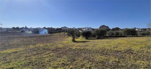 terreno agricolo in vendita ad Ostuni