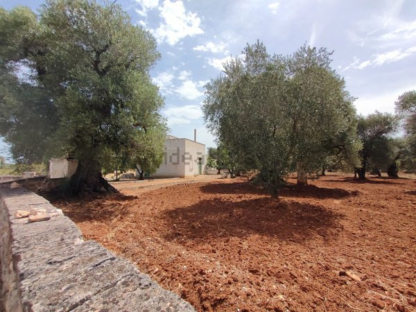 appartamento in vendita ad Ostuni