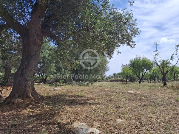 terreno edificabile in vendita ad Ostuni