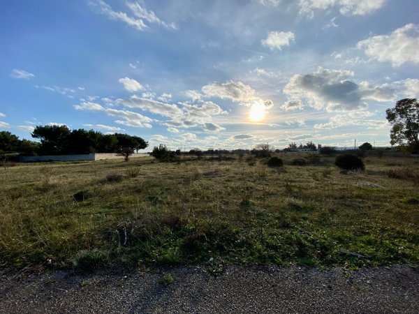 terreno agricolo in vendita ad Ostuni
