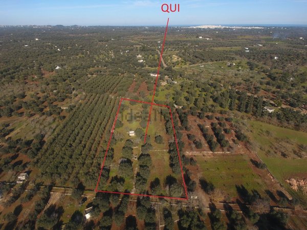 terreno agricolo in vendita ad Ostuni