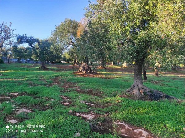 monolocale in vendita ad Ostuni