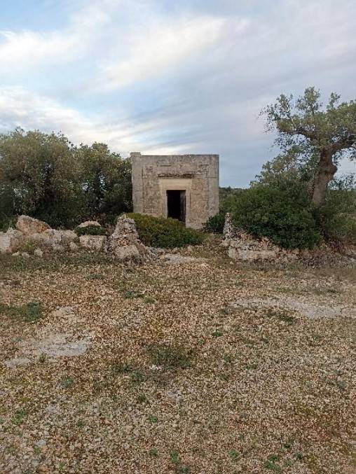 terreno agricolo in vendita ad Ostuni