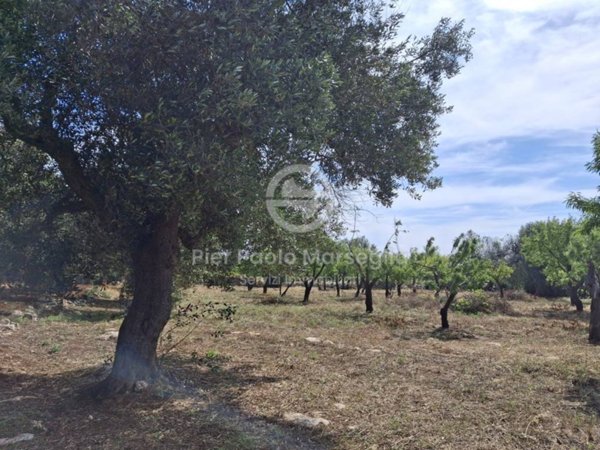 casa indipendente in vendita ad Ostuni