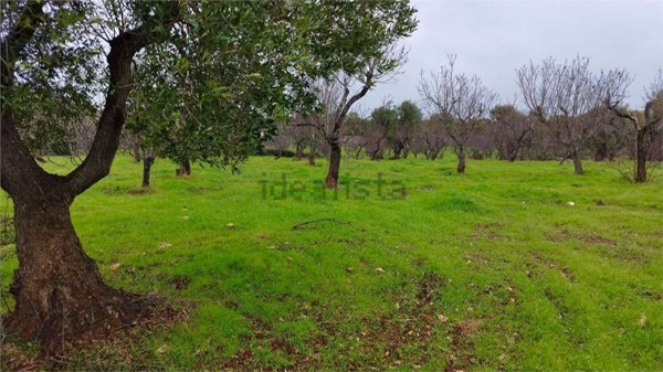 monolocale in vendita ad Ostuni