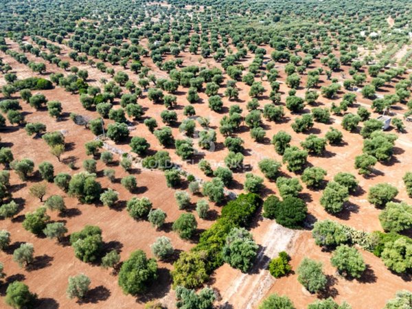 casa indipendente in vendita ad Ostuni in zona Villanova
