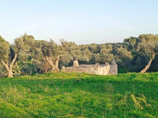 appartamento in vendita ad Ostuni