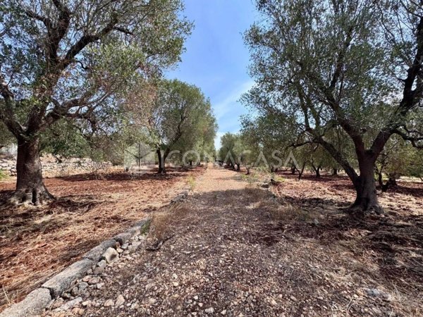 appartamento in vendita ad Ostuni