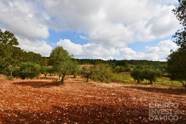 terreno edificabile in vendita ad Ostuni