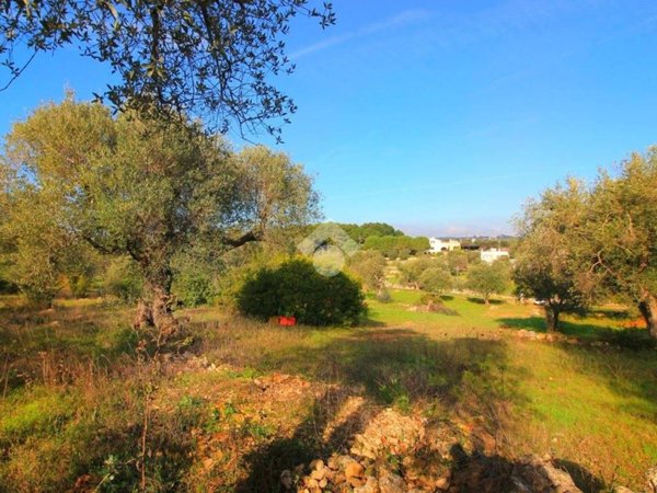 casa indipendente in vendita ad Ostuni