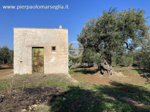 casa indipendente in vendita ad Ostuni in zona Rosa Marina
