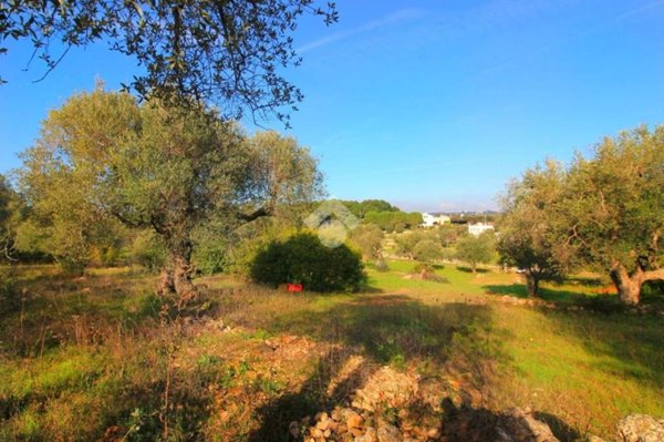 casa indipendente in vendita ad Ostuni