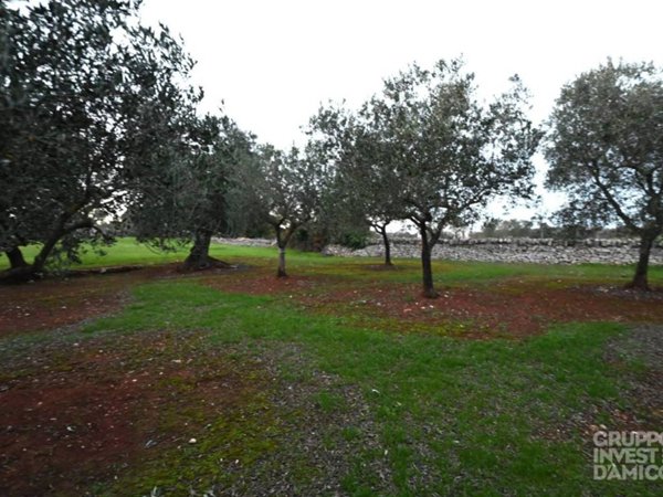 terreno agricolo in vendita ad Ostuni
