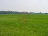 casa indipendente in vendita ad Ostuni in zona Villanova