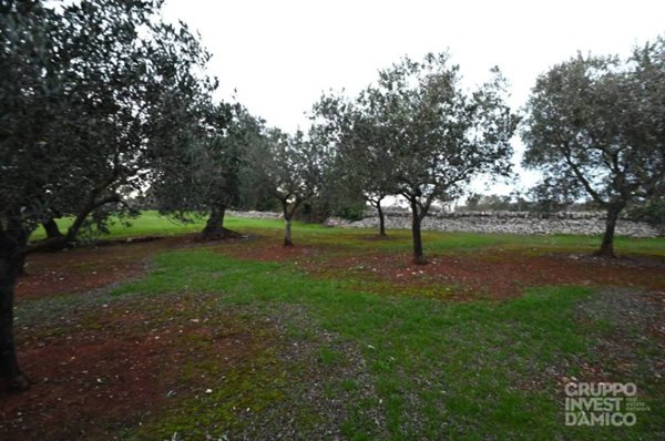 terreno agricolo in vendita ad Ostuni