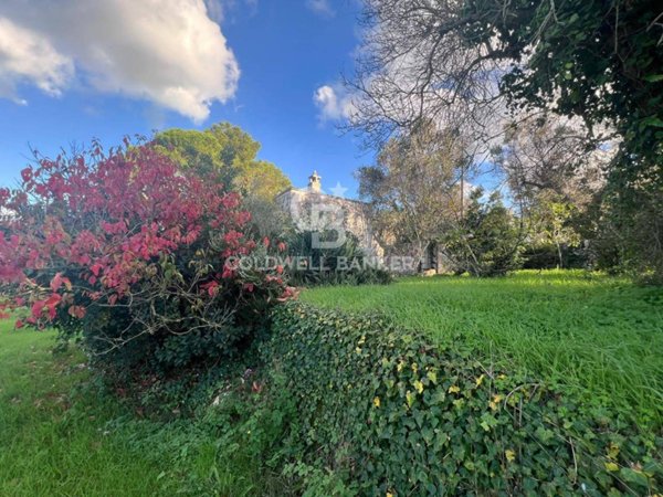 terreno agricolo in vendita ad Ostuni