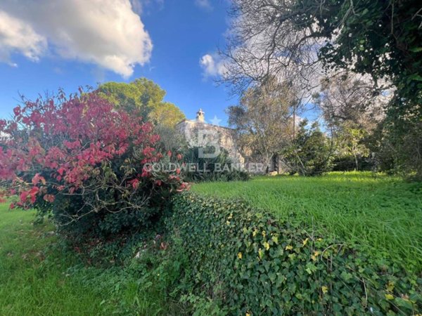 terreno agricolo in vendita ad Ostuni