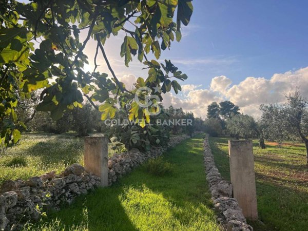 terreno agricolo in vendita ad Ostuni
