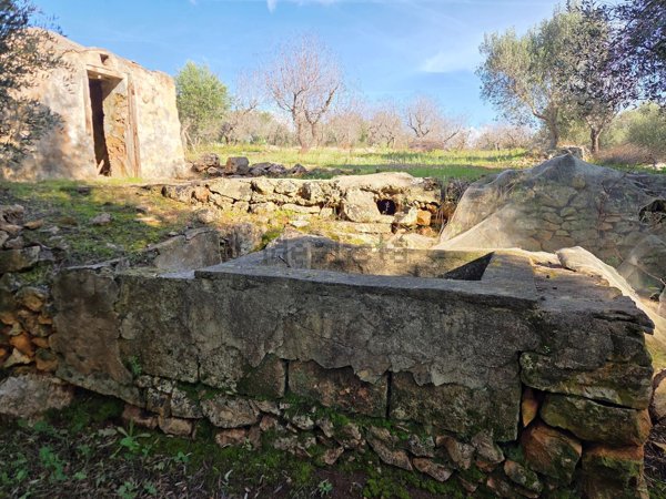terreno edificabile in vendita ad Ostuni