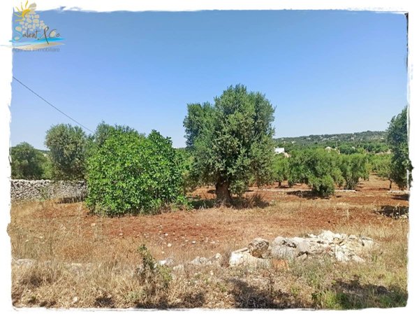 casa indipendente in vendita ad Ostuni