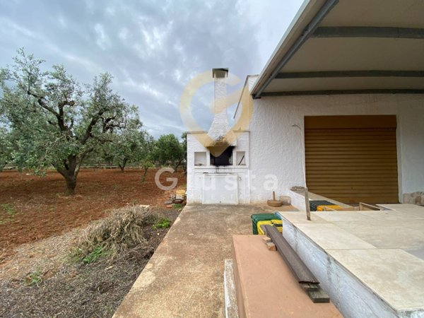 terreno agricolo in vendita ad Ostuni