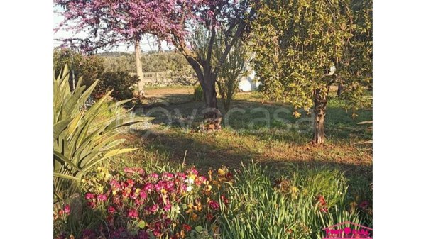 casa indipendente in vendita ad Ostuni