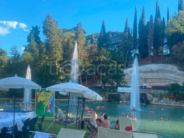 terreno agricolo in vendita ad Ostuni