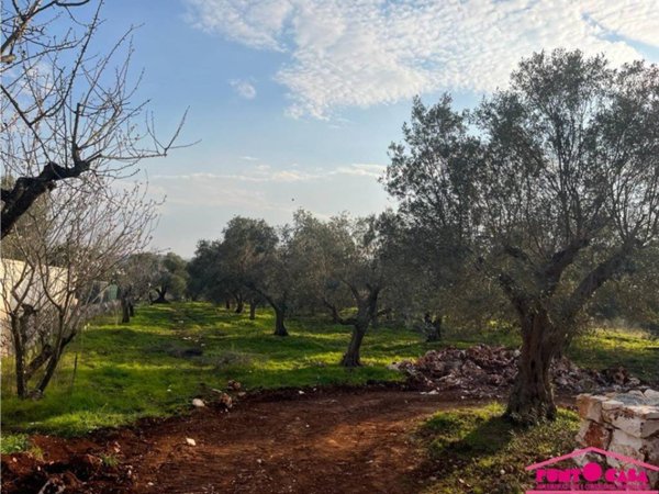 casa indipendente in vendita ad Ostuni