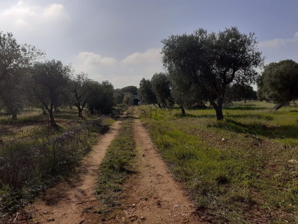 appartamento in vendita ad Ostuni
